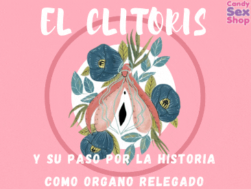 Clitoris   Web